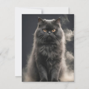 Persische Katze Tier Elegantes Dramatisches Portra Mitteilungskarte