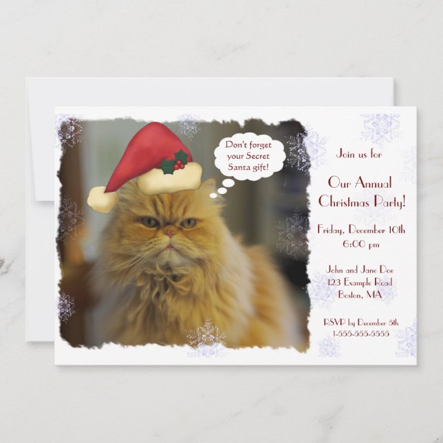Persische Katzen-Weihnachtseinladungen Einladung (Vorderseite)