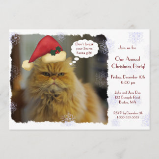 Persische Katzen-Weihnachtseinladungen Einladung