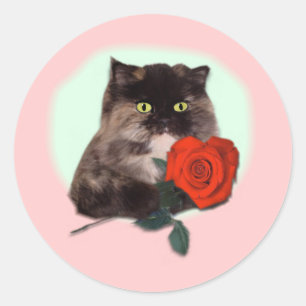 Persischer Kitty mit Rosen-Geschenken und Kleid Runder Aufkleber