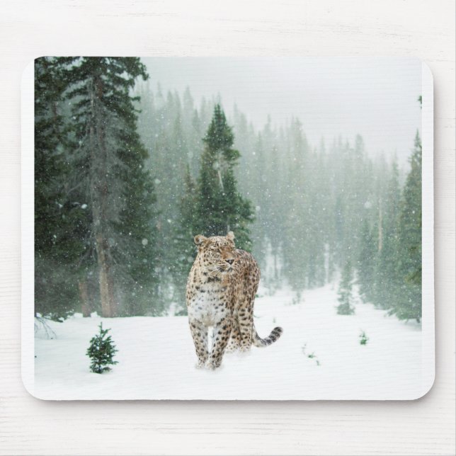 Persischer Schneeleopard im Schnee Mousepad (Vorne)