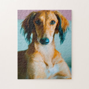Persischer Windhund.