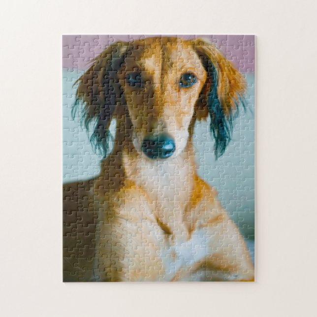 Persischer Windhund. (Vertikal)