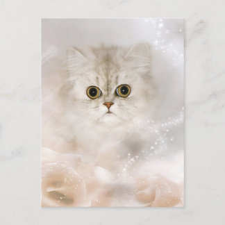Persisches Kätzchengesicht Postkarte