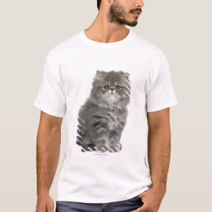 Persisches Sitzen des Kätzchens (2 Monate alte) T-Shirt
