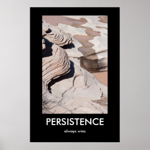 PERSISTANCE, toujours gagne Demotivational Poster