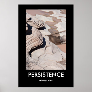 PERSISTANCE, toujours gagne Demotivational Poster