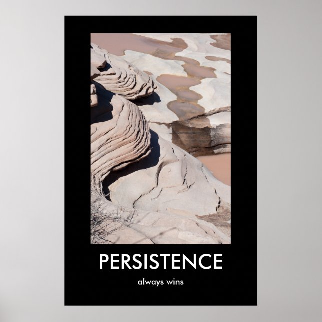 PERSISTENZ, gewinnt immer Demotivationspopster Poster (Vorne)
