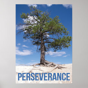 Persistenzbaum Motivierend Poster