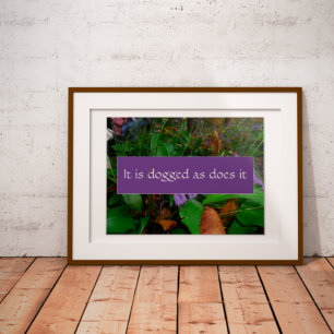 Persistenzweisheit Sprichwort Foto Poster