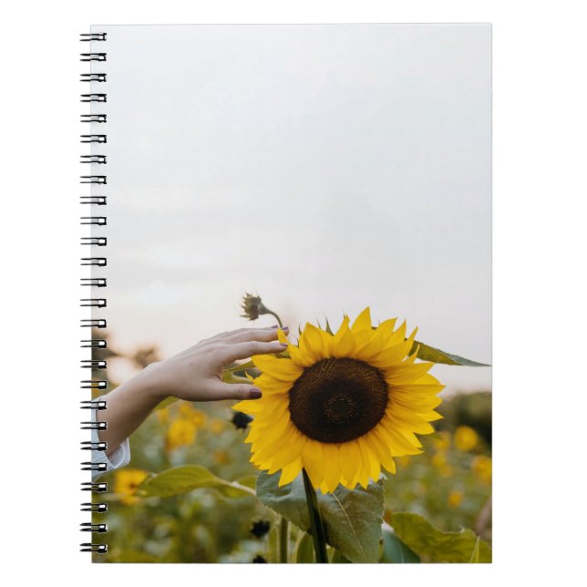 Person mit Sonnenblume Notizblock (Vorderseite)