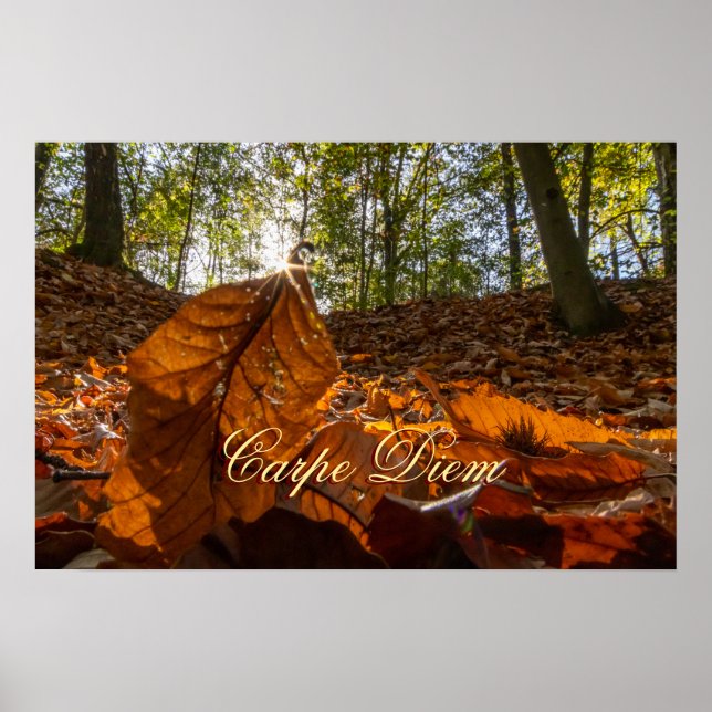 Personal Carpe Diem glänzende farbenfrohe Blätter  Poster (Vorne)