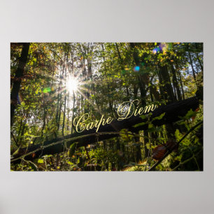 Personal Carpe Diem glänzende farbenfrohe Blätter  Poster