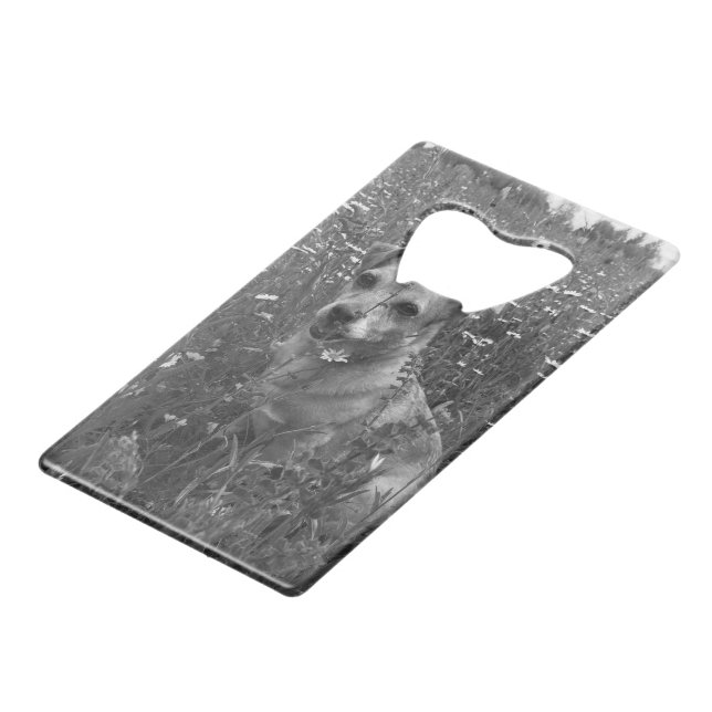 Personal Dog Flasche Opener Geldbeutel Flaschenöffner (Rückseite Schrägansicht)