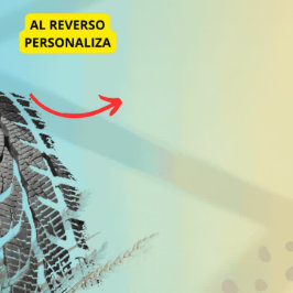  Personalice Facil Paris Roubaix Bikes T-Shirt