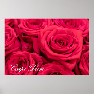 Personalisierbare Karpfen mit rote Rosen Poster
