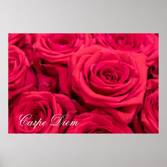 Personalisierbare Karpfen mit rote Rosen Poster (Vorne)