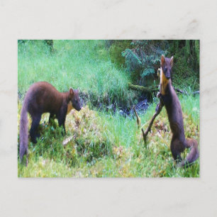 Personalisierbare Mr & Mrs Baummarder-Grußkarte Postkarte