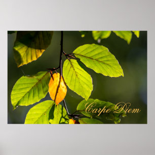 Personalisierbarer Karpfen-Diem mit bunten Blätter Poster