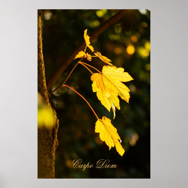 Personalisierbarer Karpfen-Diem mit bunten Blätter Poster (Vorne)
