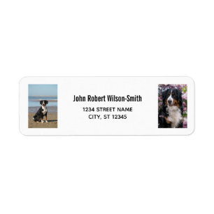 Personalisieren Sie 2 Fotos mit Hund Moderne Rücks