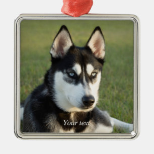 Personalisieren Sie das sibirische Husky Welpenpor Ornament Aus Metall