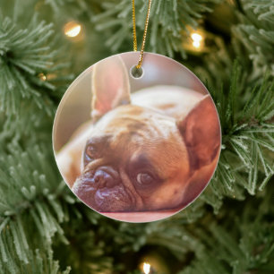 Personalisieren Sie dieses Ornament mit dem Foto d