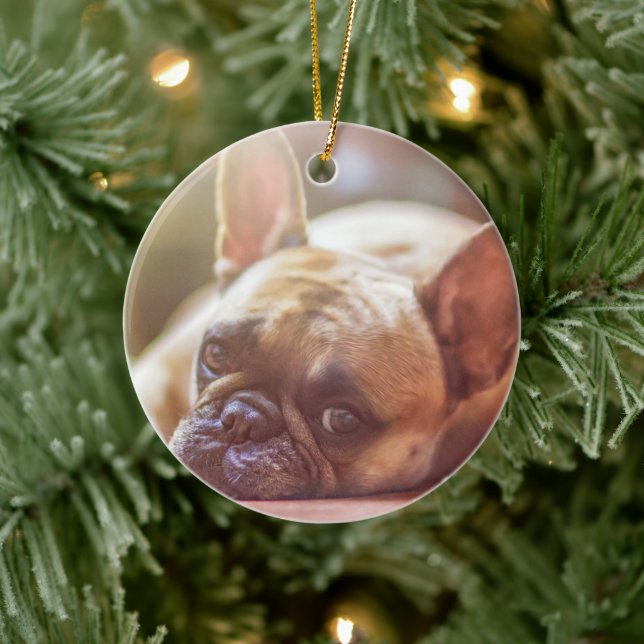 Personalisieren Sie dieses Ornament mit dem Foto d (Baum)