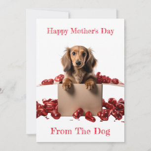 Personalisieren Sie Langhaar-Dachshund-Welpe zum M Feiertagskarte