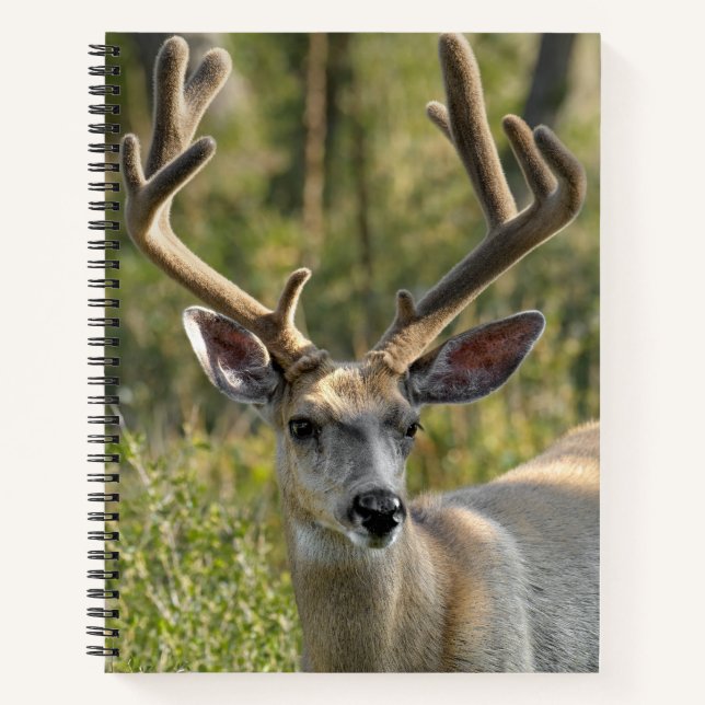 Personalisieren Sie Name Mule Deer Spiral Notebook Notizbuch (Vorderseite)