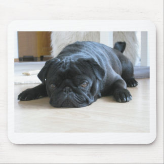 Personalisieren Sie niedlichen schwarzen Mops Welp Mousepad
