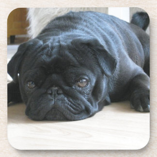Personalisieren Sie niedlichen schwarzen Mops Welp Untersetzer