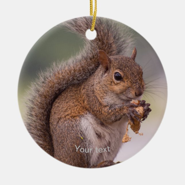 Personalisieren Sie niedliches Eichhörnchen, das e Keramik Ornament (Vorne)