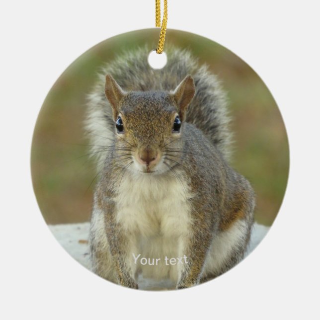 Personalisieren Sie Niedliches Eichhörnchen von An Keramik Ornament (Vorne)