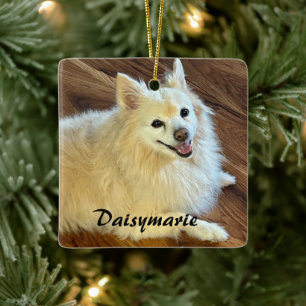 Personalisieren Sie schöne Haustierfotos und Namen Keramikornament