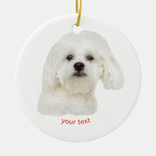 Personalisieren Sie weißen maltesischen Welpen Keramik Ornament (Vorne)