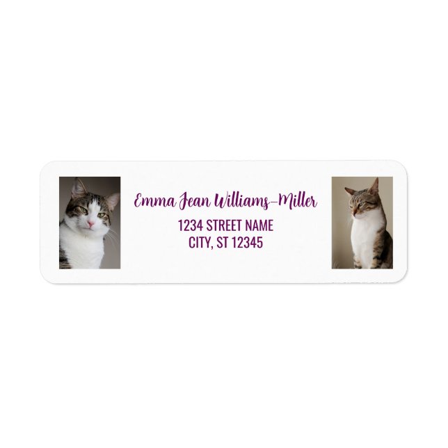 Personalisieren von Fotos mit Cat Moderne Rücksend (Vorne)