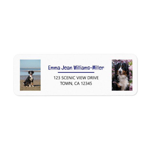 Personalisieren von Fotos mit Hund Moderne Rücksen (Vorne)