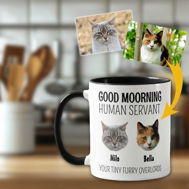 Personalisiert 2 Cat Foto Tasse (Von Creator hochgeladen)
