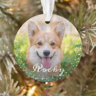 Personalisiert 2 Foto Haustier Hund Welpen Urlaub Ornament