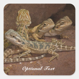 Personalisiert Baby Bearded Dragon Lizard Jigsaw P Quadratischer Aufkleber