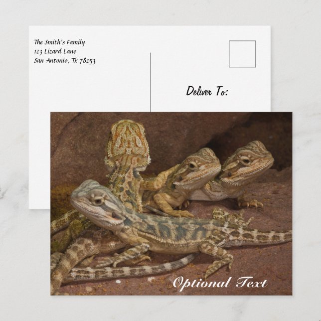 Personalisiert Baby Bearded Dragon Lizard Postkarte (Vorne/Hinten)