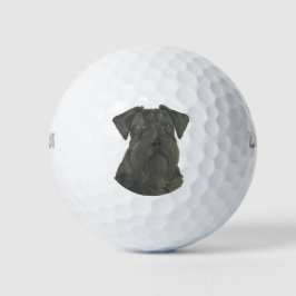 Personalisiert Black Schnauzer Golfball