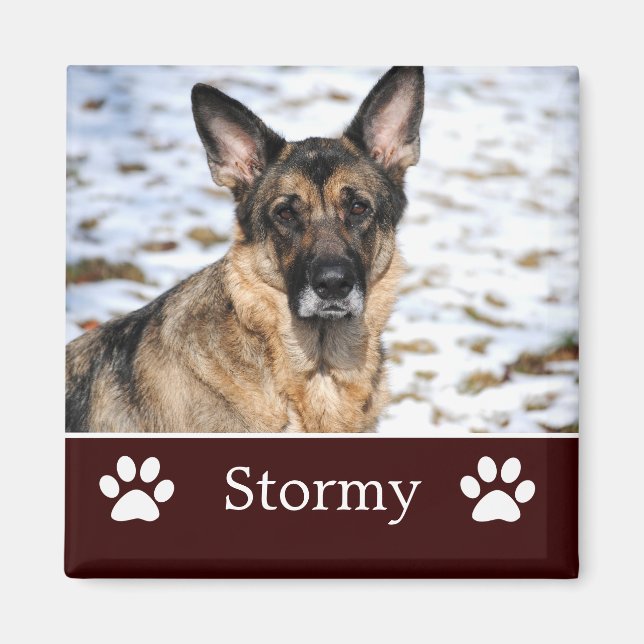 Personalisiert Brown Pet Foto Magnet (Vorne)