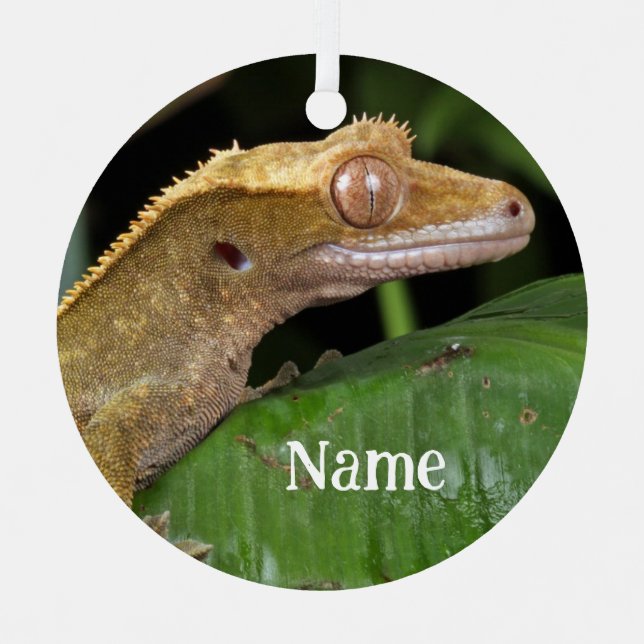Personalisiert Crested Gecko Lizard Ornament Aus Metall (Vorderseite)