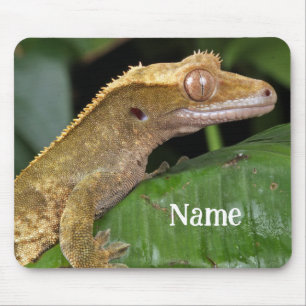 Personalisiert Crested Gecko Pet Lizard Mousepad