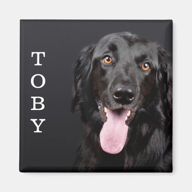 Personalisiert Dog Foto Kühlschrank Magnet (Vorne)