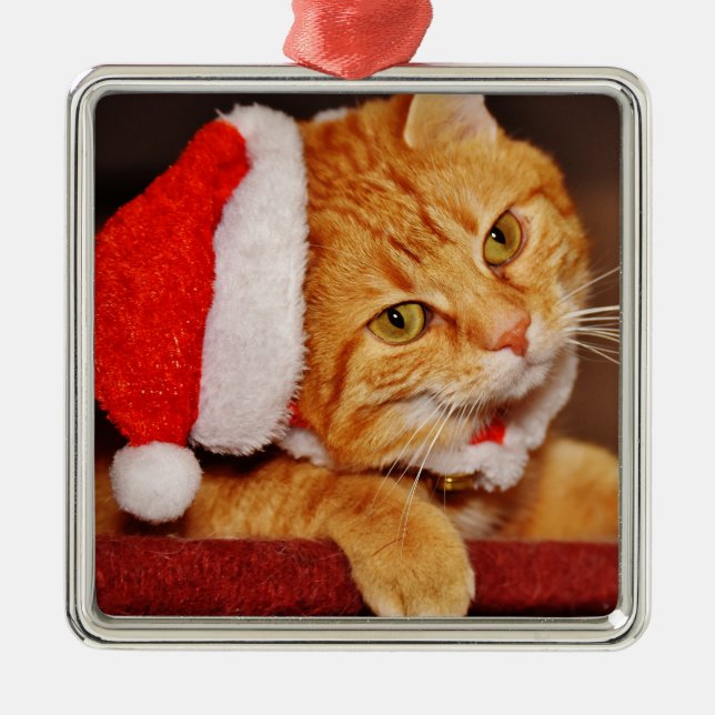 Personalisiert Frohe Weihnachten Orange Tabby Cat Ornament Aus Metall (Vorne)