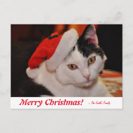 Personalisiert frohe Weihnachten Schwarz-Weiß Katz Postkarte