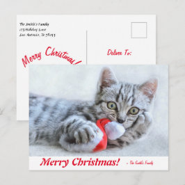 Personalisiert Frohe Weihnachts-Kitten mit Weihnac Postkarte